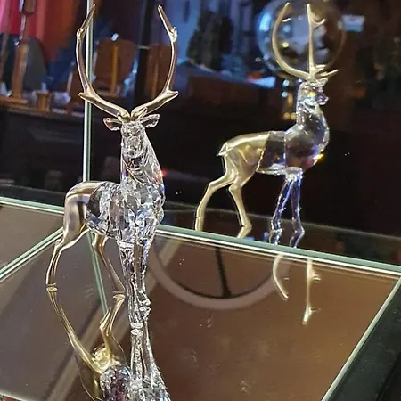 The Wonder Deer Next To The Opera Self Check-in Lejlighed Budapest