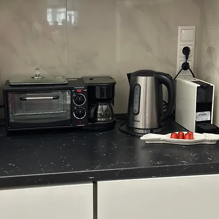 The Wonder Deer Next To The Opera Self Check-in * Budapesta