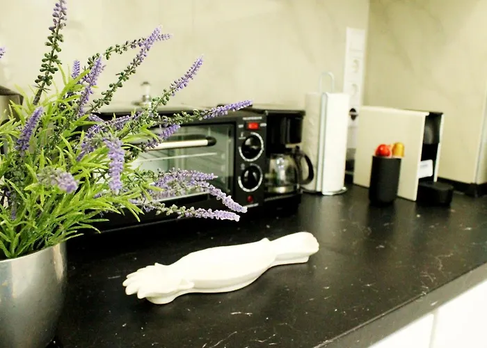 The Wonder Deer Next To The Opera Self Check-in * Budapesta