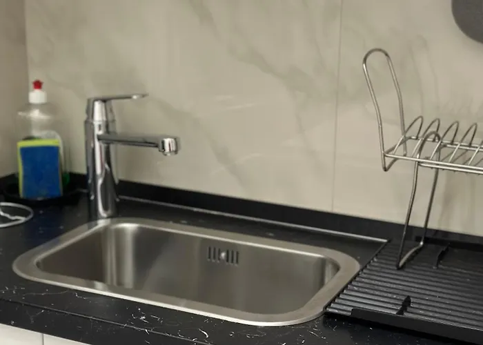 The Wonder Deer Next To The Opera Self Check-in