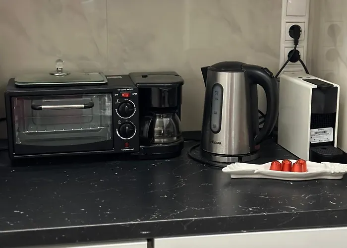 The Wonder Deer Next To The Opera Self Check-in * Budapesta