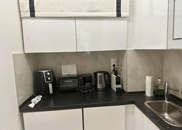 The Wonder Deer Next To The Opera Self Check-in Budapesta